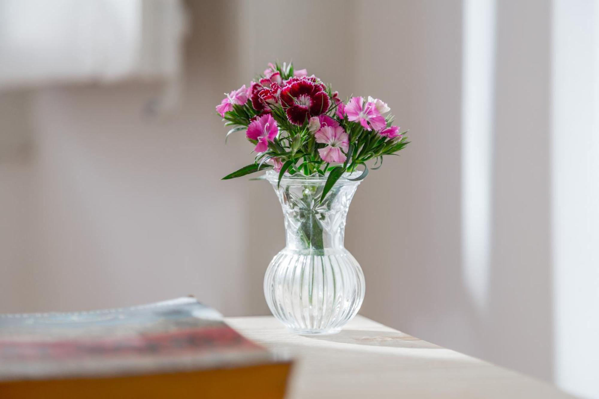 Spacious, Bright And Sunny Apartment, By Timecooler Lisboa Eksteriør billede